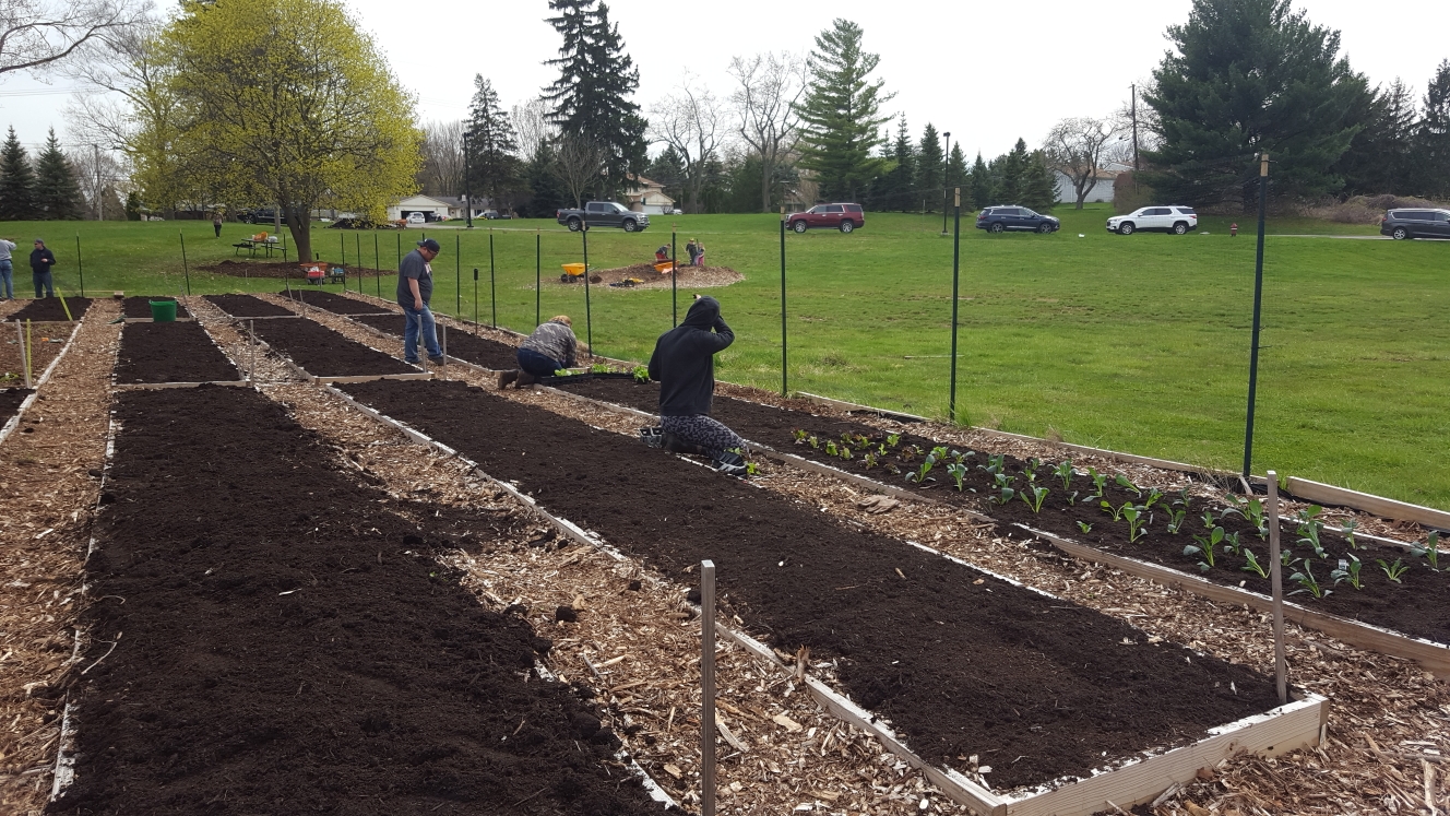 Planting Day 2020